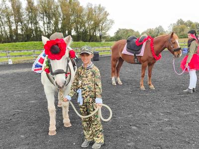 Help! Can you sponsor one of our therapy horses?