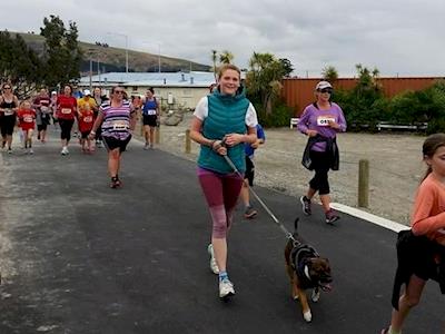 Help Dogwatch by sponcoring me to run the City2surf dressed like a dog.