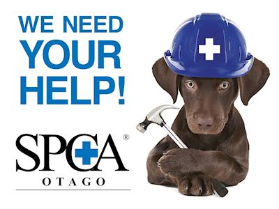 SPCA Otago desperately needs new facilities