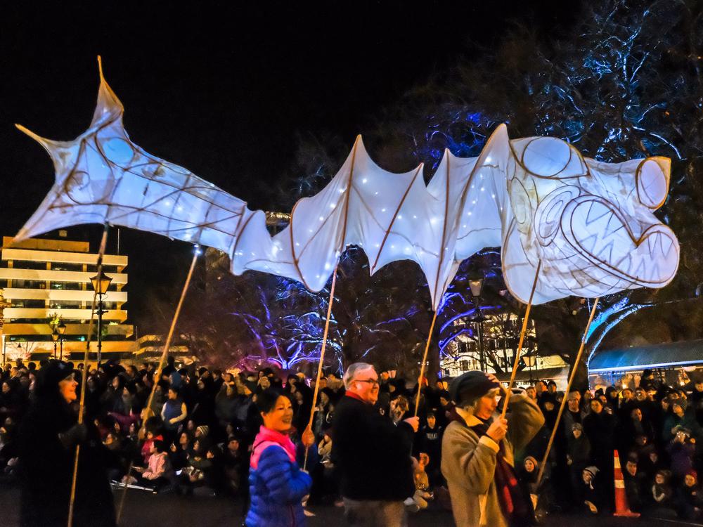 Dunedin Midwinter Carnival 2019 Givealittle