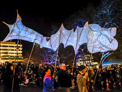 Dunedin Midwinter Carnival 2019