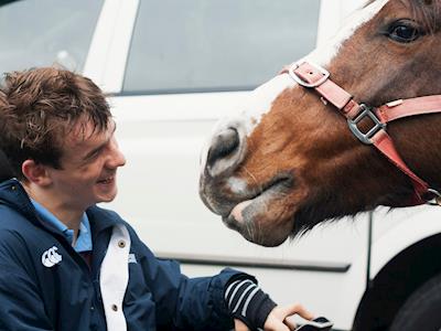 Riding For The Disabled - New Plymouth