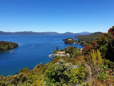 Fundraising for Protect Rakiura Trust