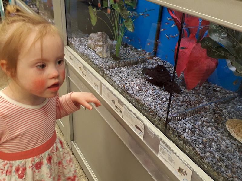 Help Kora raise funds for a sensory fish tank Updates Givealittle