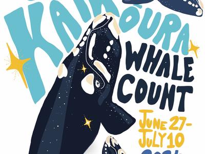 Great Kaikōura Whale Count 2024