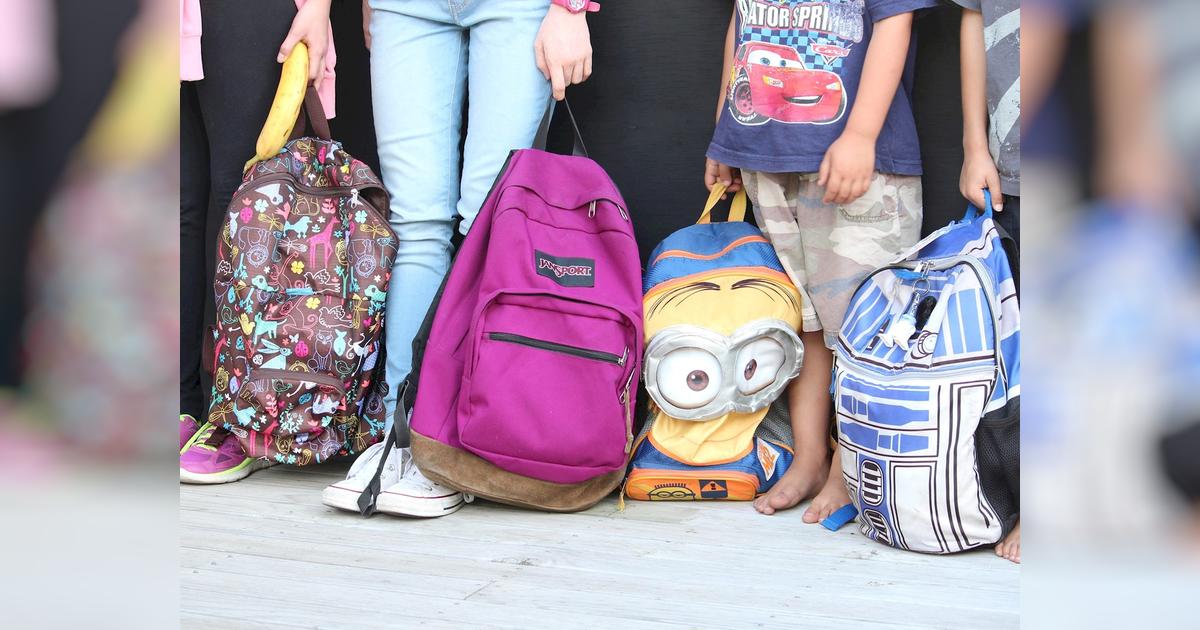 Supporting Aspiring Individual Learners Givealittle