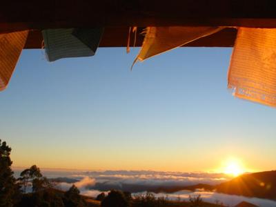 Your support is critical for Anahata to stay alive and thrive