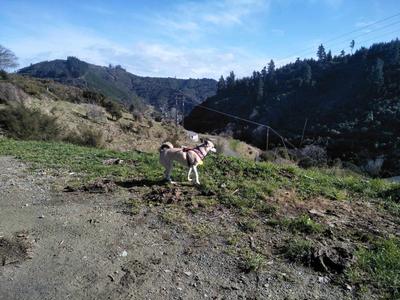 Cleo's 100k Challenge