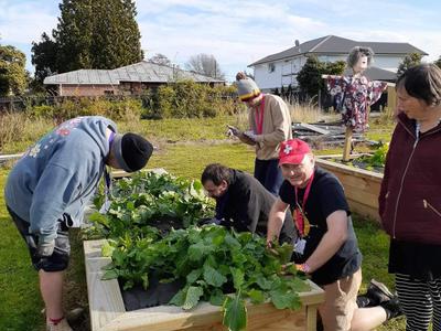 Our Veggie Garden has moved!