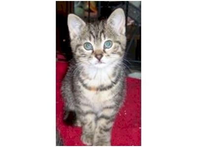 All I want for Christmas is a home of my very own.