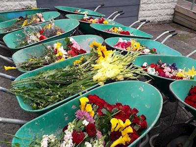 Maadi Cup Parents Fundraiser for Christchurch