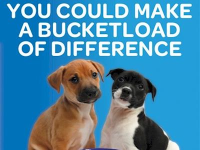 ANNUAL APPEAL SPCA WAIKATO