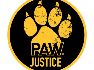 Greg’s birthday support for charity