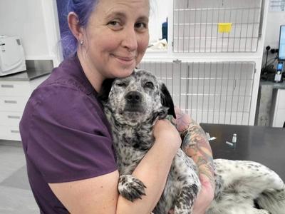 Donna Doolittle's Animal Rescue