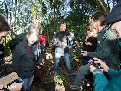 iNaturalist NZ (NatureWatch NZ is growing up)