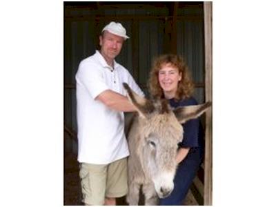 The Animal Sanctuary