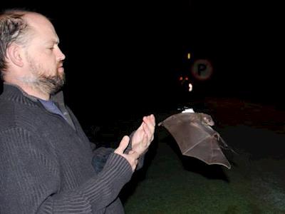 Galapagos bats need help so we are sending a New Zealand expert to help the National Park research and conserve them.