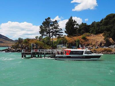 The Diamond Harbour Challenge