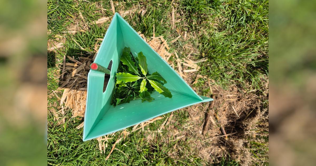 Regenerating native bush in Northland, New Zealand - Givealittle