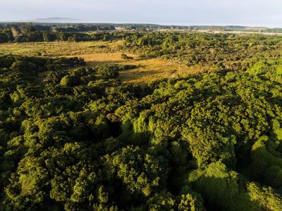 Attempting a half-Ironman event in December. Hopefully making some $ for local biodiversty efforts in the process.