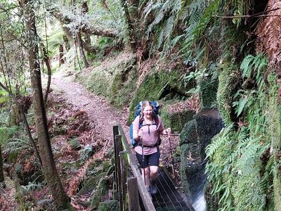 Help Me Step Up for Ovarian Cancer