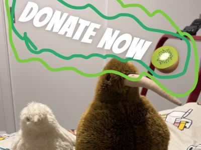 Vinnie Wants to Save the Kiwis!