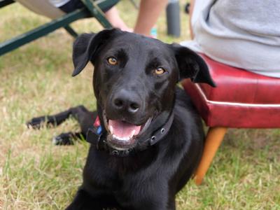 Jodie's Birthday Fundraiser