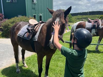 Love kids? And animals? Help fund RDA!