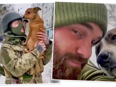 Dogs of War - Frontline Soldiers Need Help for Dogs in Ukraine!