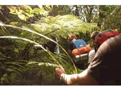 Journeys of Discovery