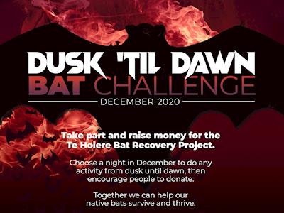 Dusk 'til Dawn Bat Challenge