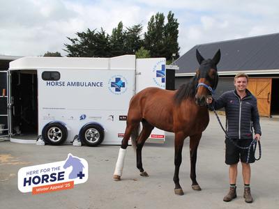 Here for the Horse Winter Appeal | August 2025🐎