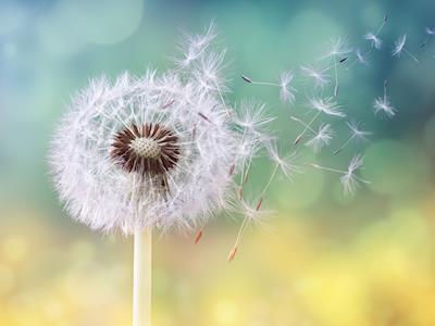 Join the fight against human trafficking and enslavement.