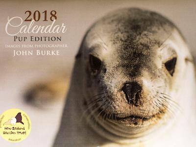 2018 Sea Lion Calendars