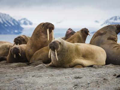 The Wonderful Wednesday Food Rescuers