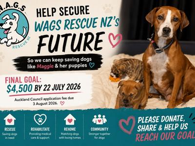 Phase Two: Auckland Council Assessment Fee