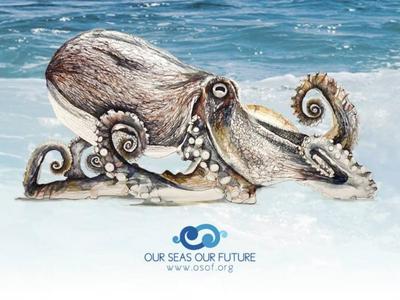 Sailing across the Atlantic Ocean. Raising donations for Our Seas Our Future charity