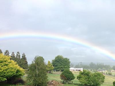 Zeal Life