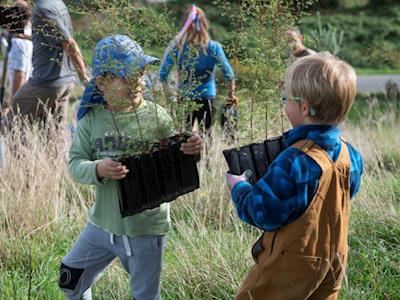 Motueka Steiner School and Farm