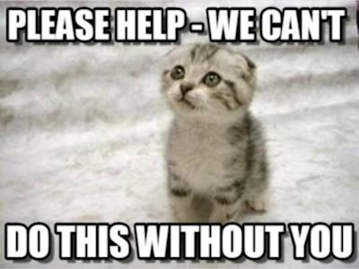 New accomodation cat cages needed for Upper Hutt Animal Rescue. 