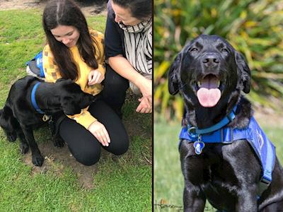 Let's get an Assistance Dog for Maia