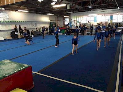 Replace Lost Gymnastics Equipment