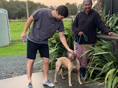 Vet Costs for this boys urgent surgeries