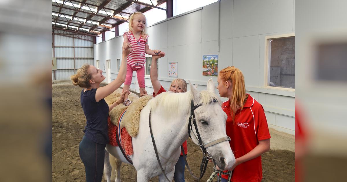 Marlborough Riding for the Disabled needs new horses Givealittle