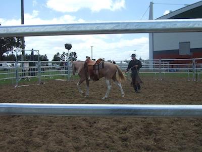 Enter the draw to win two tickets to Equidays