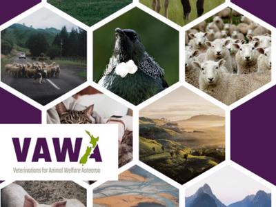 JUMP ON THE BANDWAGON! Help us create A Good Life for All!