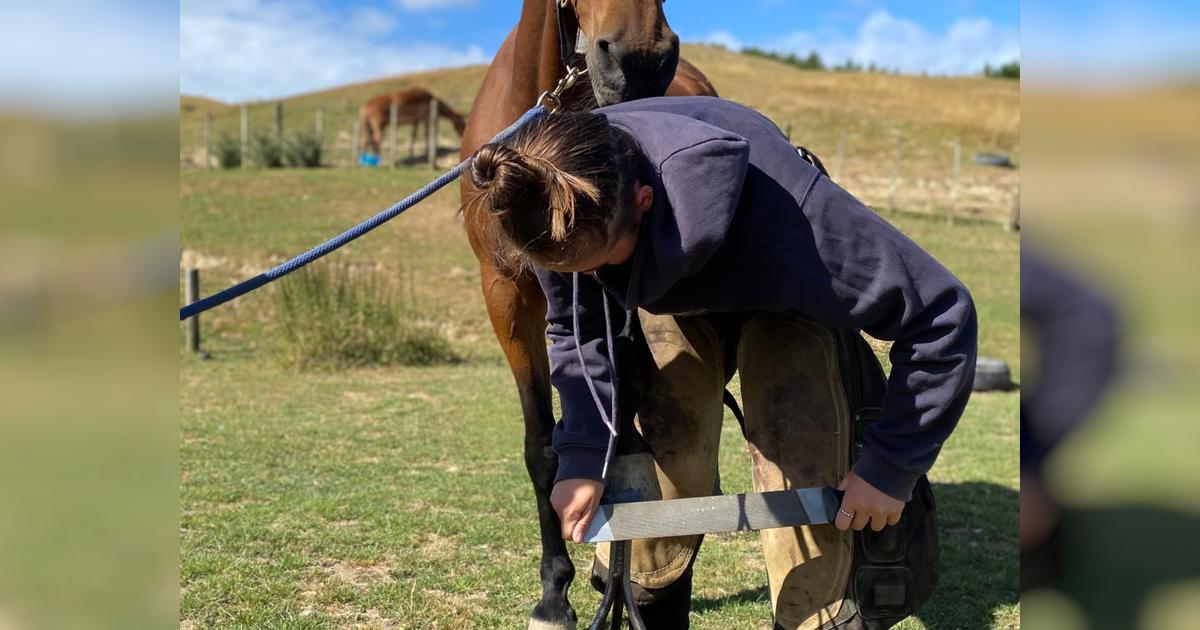 Support my journey to a farrier