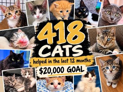 418 Cats. One Big Goal.