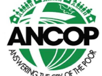 ANCOP Virtual walk 2021-2022