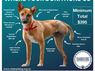 I'll suffer so they dont have to